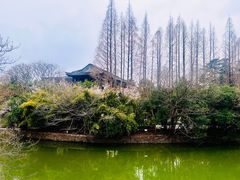 -春兰国宾馆(凤城河风景区老街店)