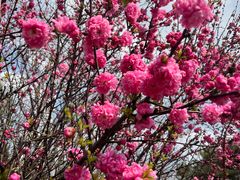 -长春公园(普阳街道)