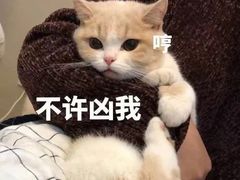 -本色.小马哥烧烤(五一路总店)