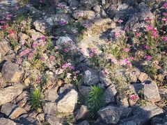-象湖生态湿地公园