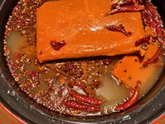 -蜀辣居鲜货老火锅(红牌楼店)