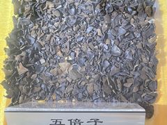 -上海昆虫博物馆