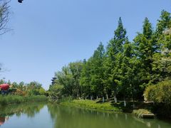 -洋湖国家湿地公园