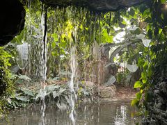 -郑州植物园