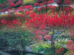 -桃花涧