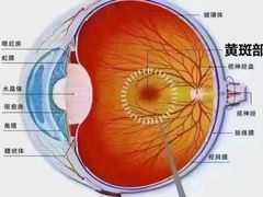 -宝视达眼镜(周口市广场店)
