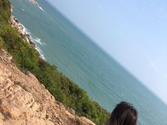 -广东惠东海龟国家级自然保护区