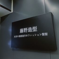 点击看大图 -藤野造型