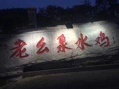 -老幺泉水鸡
