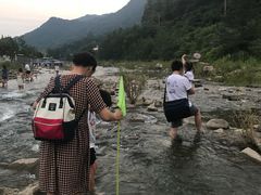 -四川省成都市彭州市白鹿镇