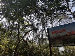 -苏州上方山国家森林公园
