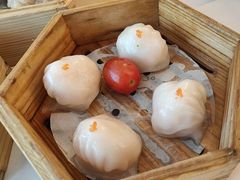 -粤江春·早茶·潮粤菜·宴会(罗湖宝能中心店)