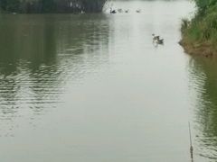 -艾溪湖湿地公园