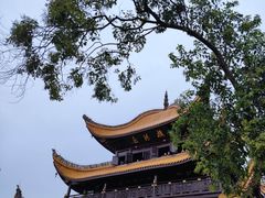 -岳阳楼景区