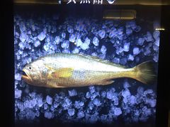 -外滩5号