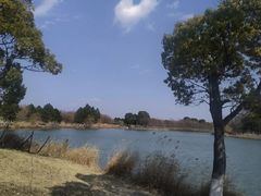 -苏州太湖湖滨国家湿地公园
