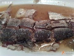 鲥鱼-鲜啊-福1039(愚园路店)