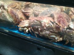 -盒马鲜生(曜一城店)