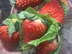 -鲜丰水果(大武汉1911店)