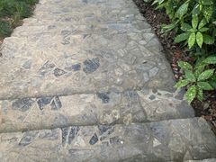 -蜀冈西峰生态公园