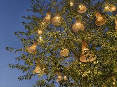 -一品烧农庄·佛山本地特色菜