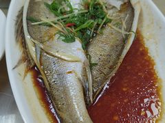 -日日香卤鹅饭店·澄海狮头鹅(澄海店)
