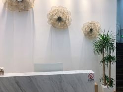 -YESIDO椰岛美容