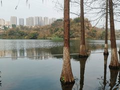 -重庆彩云湖湿地公园