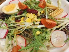 蔬菜沙拉-九田家黑牛烤肉料理(石路天虹店)