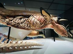 -抱抱地球咖啡馆(国家海洋博物馆店)