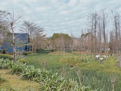 -森波拉奇妙世界