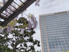 -黄兴公园