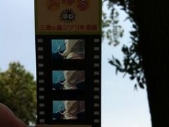 -三鹰之森吉卜力美术馆