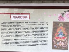 -西安青龙寺遗址景区