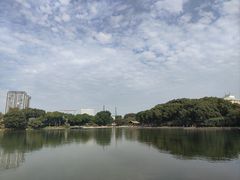 -圩墩遗址公园