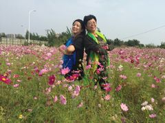 -丁香湖公园