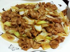 葱爆羊肉-燕春楼(海河华鼎店)