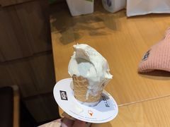 -野人先生现做冰淇淋(北京顺义祥云小镇店)