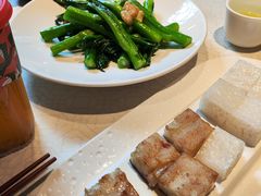 -大鸽饭(动物园店)