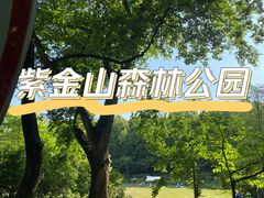 -紫金山山顶公园