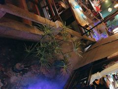 -佬麻雀·新湘菜(珠海金发购物中心店)