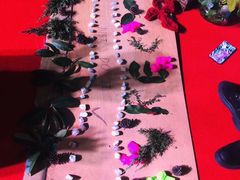 -Club Med地中海俱乐部·桂林度假村