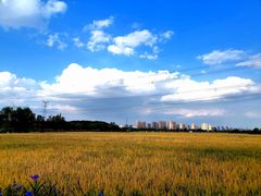 -嘉北郊野公园