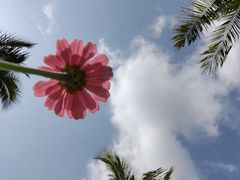 -三亚南山文化旅游区