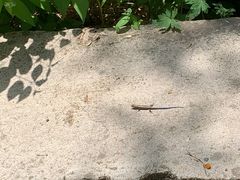 -碓臼峪自然风景区