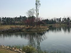 -白鹭湾湿地公园