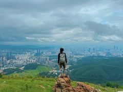 -长虫山生态公园风景林