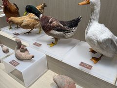 -中国农业博物馆