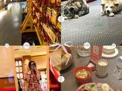 -大江户·温泉洗浴(浑南店)