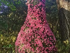 -杭州植物园